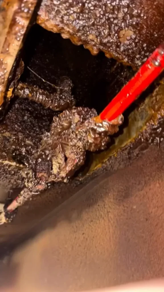 Scraper cutting through thick grease buildup